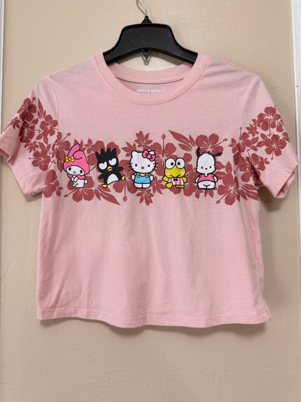 Sanrio Pink Floral Hello Kitty & Friends Short Sleeve Tee